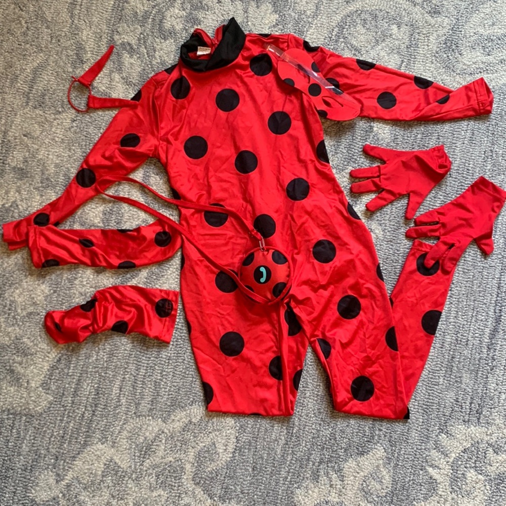 Ladybug girl costume - girls size 6
